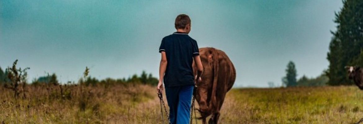 Ūkiai stambėja, bet ES vidurkis nepavejamas