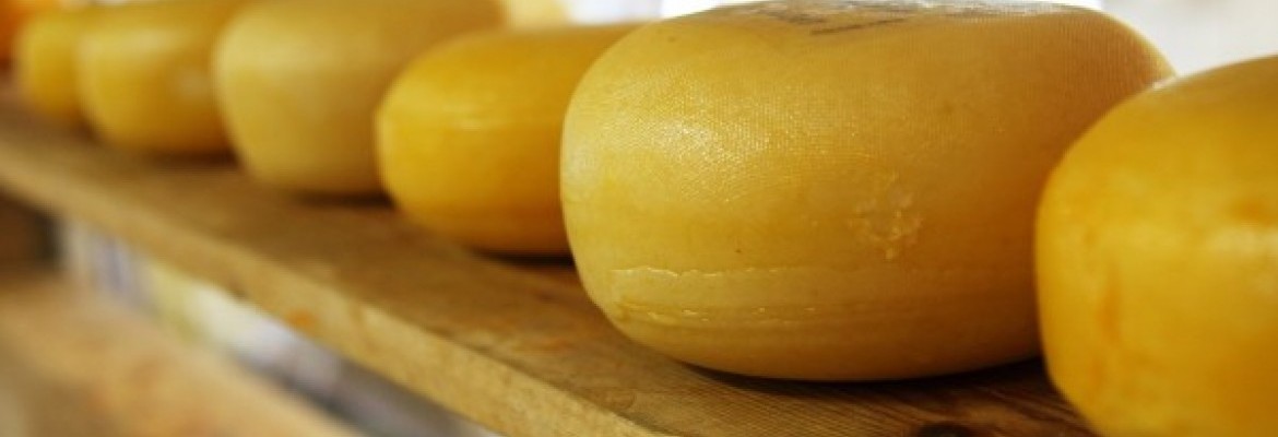 Pieno produktų gamyba pernai sulėtėjo
