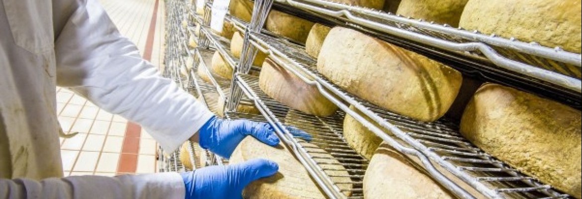 Verslas ragina Vyriausybę didinti paramą investicijoms į maisto perdirbimą – naudą pajus ir ūkininkai 