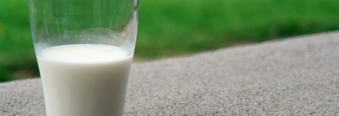 Ūkių pajamas augino brangusi žaliava