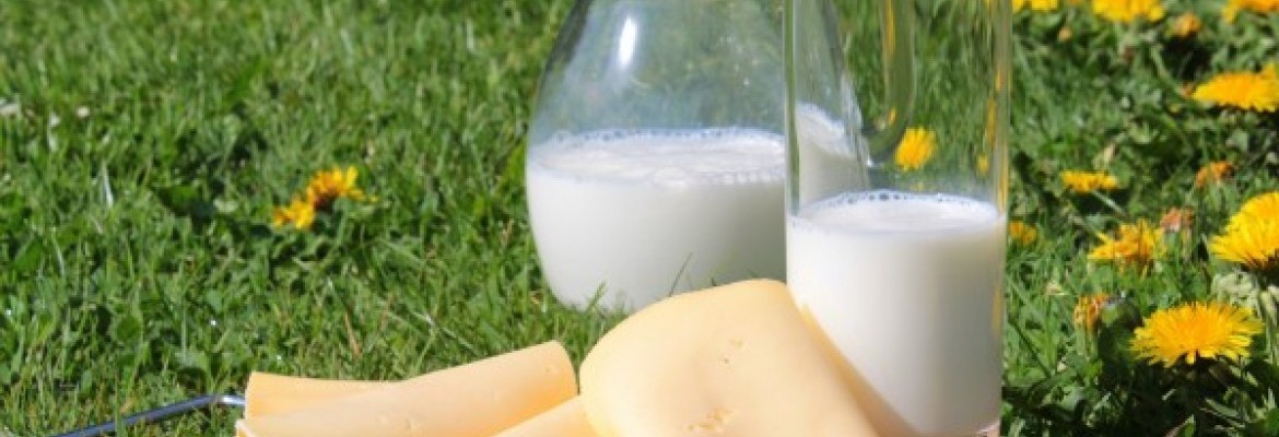 Lietuviški pieno produktai uždirba eksporto rinkose