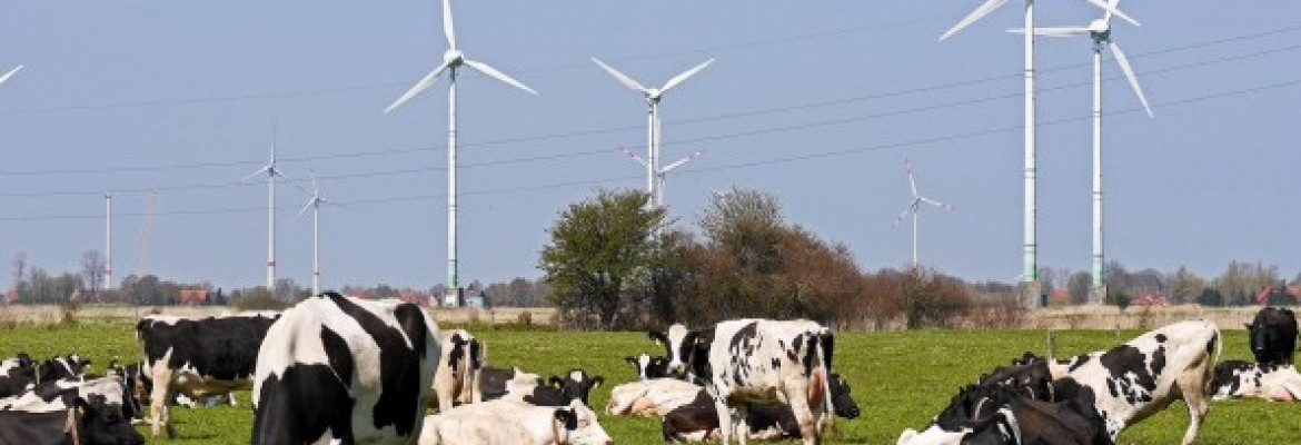 Brangi energija kerta lietuviškų pieno produktų eksportui